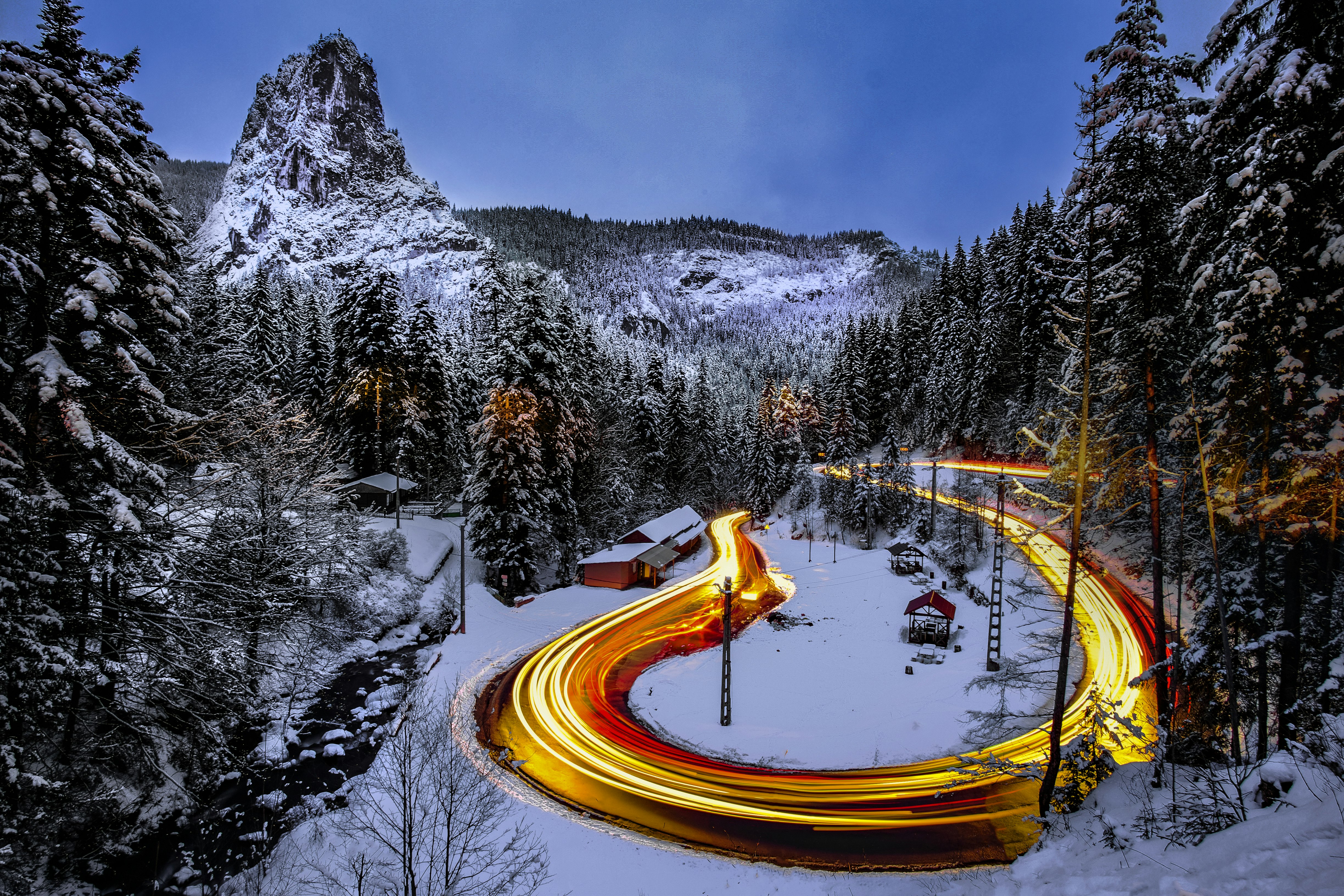 time-lapse photography of road surrounded by pine trees coated with snow